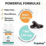 ORGABAY Liposomal NAD+