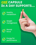 Zenwise Health EGCG สารสกัดชาเขียว 120 แคปซูล - เพิ่มสมาธิ การเผาผลาญ คุมน้ำหนักและสารต้านอนุมูลอิสระ